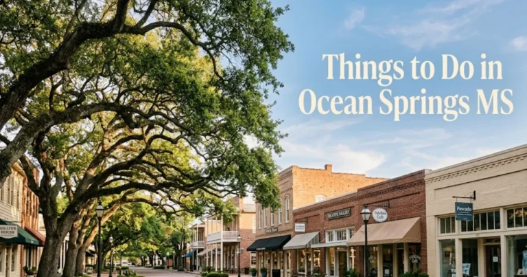 Government Street in Ocean Springs MS shaded by historic live oak trees, showcasing the walkable downtown art district.