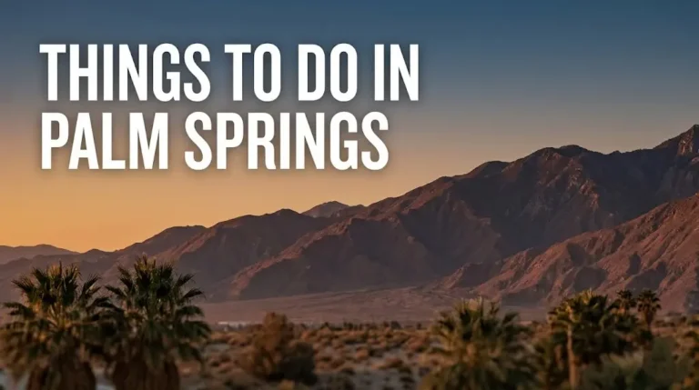 Things To Do in Palm Springs, CA: The 2026 Travel Guide