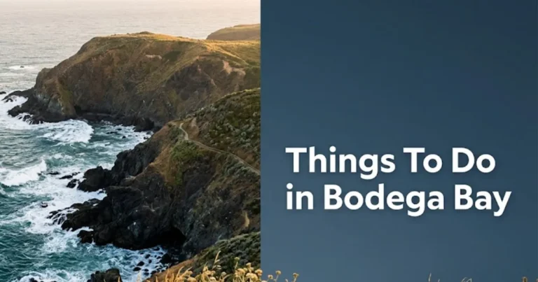Aerial view of Bodega Bay California's coastal headland cliffs with Things To Do in Bodega Bay headline text overlay
