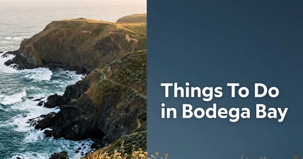 Aerial view of Bodega Bay California's coastal headland cliffs with Things To Do in Bodega Bay headline text overlay